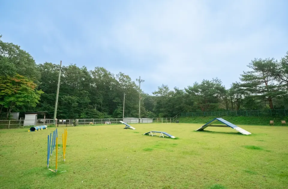 ドッグパーク フォレストヒルズ那須　ドッグラン