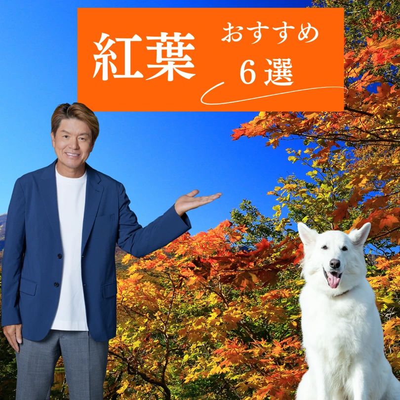 那須おすすめ６選