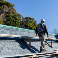 Picture of Test hirat